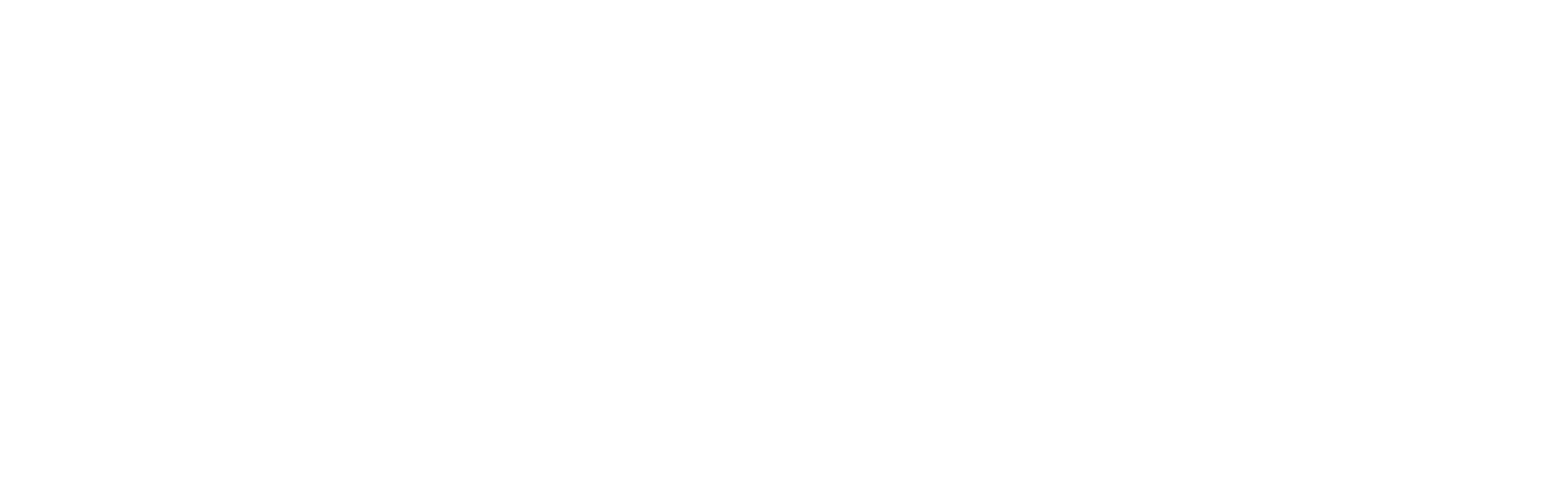 Logo Blank blanc